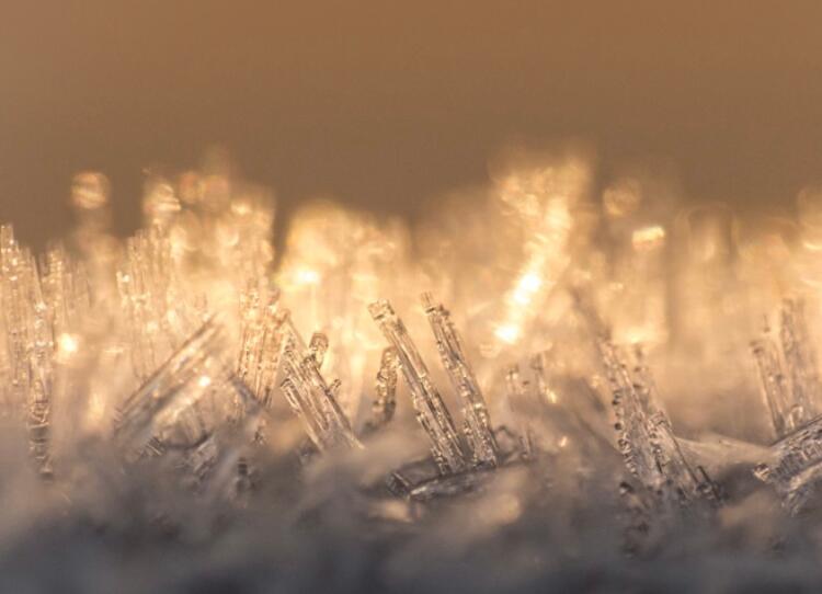 含蓄又带有古风的情话文案