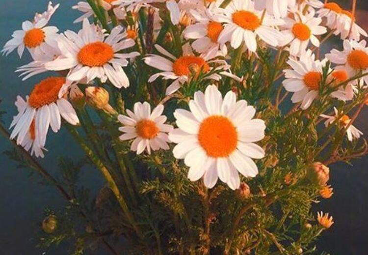 有深度高智商简短语句文案