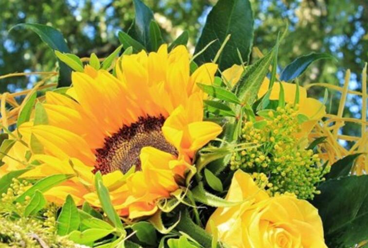 感恩的经典短语