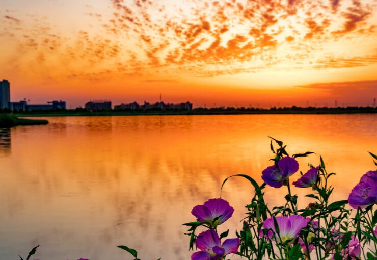 致自己努力奋斗的短句