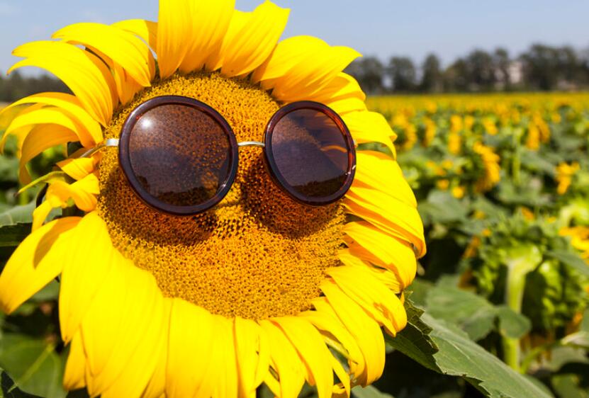 乞丐乞讨幽默短句子文案