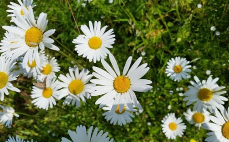 短小精悍的名言警句