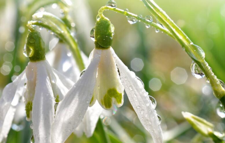 简单的三月三古诗