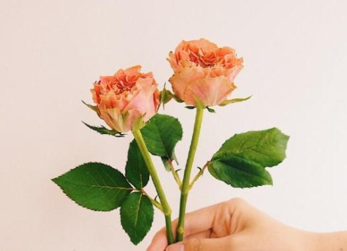 祝朋友节日的祝福语