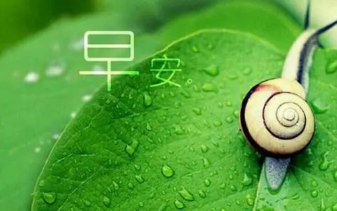 友情早安问候语简短一句话