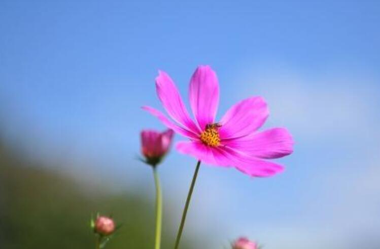回复早安撩人的情话文案