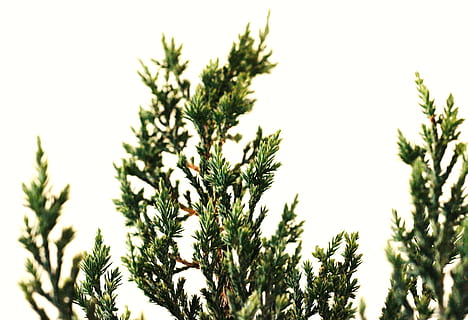 生气到无话可说的句子文案