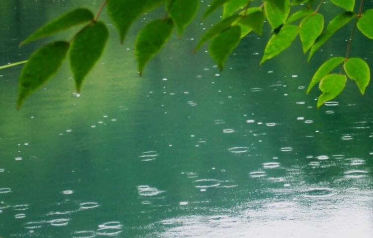 伤感七字唯美短句