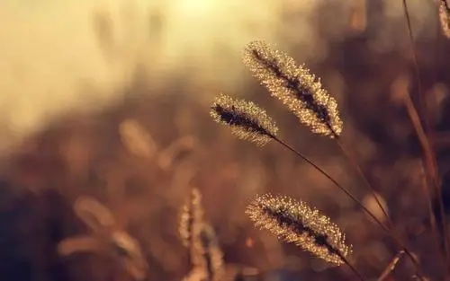 辛苦不怕累励志的句子文案