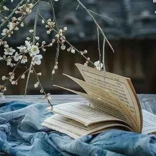 朋友久别重逢的唯美诗句文案