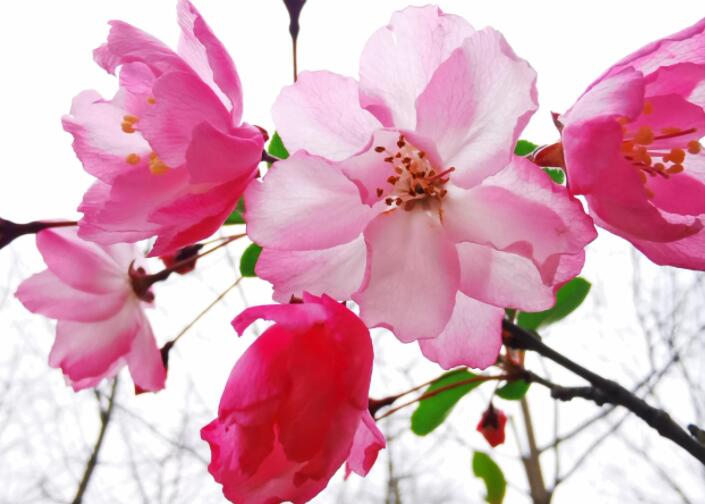 内在美经典语录文案