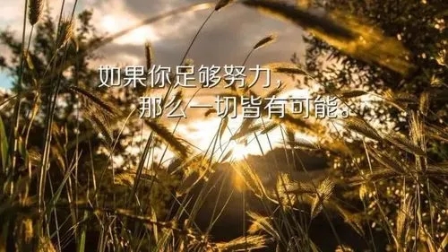 努力可爱的句子文案