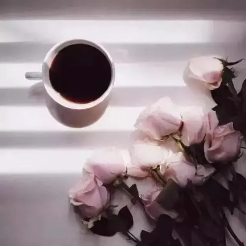 最美遇见的句子文案