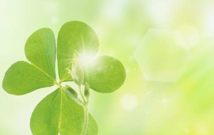 朋友圈短句八个字