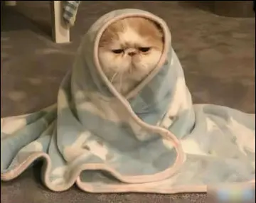 大热天感冒的幽默说说文案