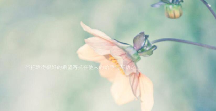 初三励志语录文案霸气十字