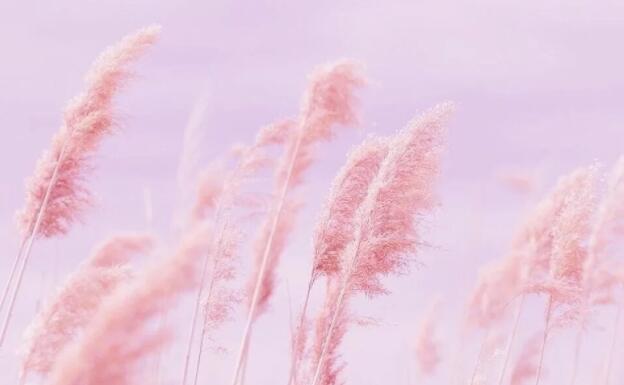 想一个人的短句情话文案