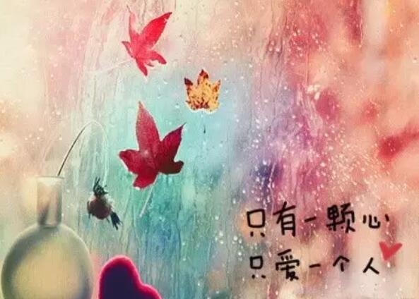 淡雅的签名8个字