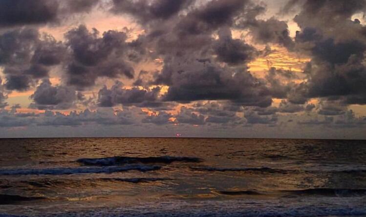 每日温暖语录文案