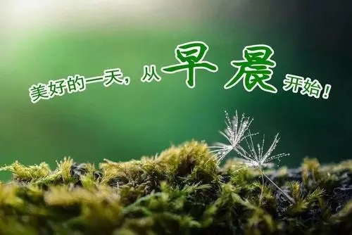 清晨问候语录文案