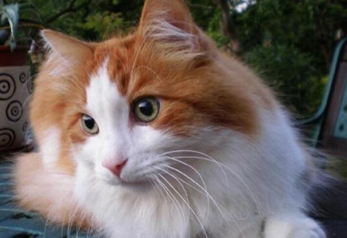 想念孩子的暖心说说文案短句