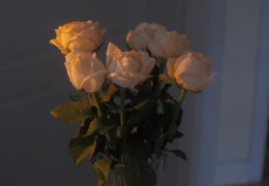 最无助最心痛的语句文案