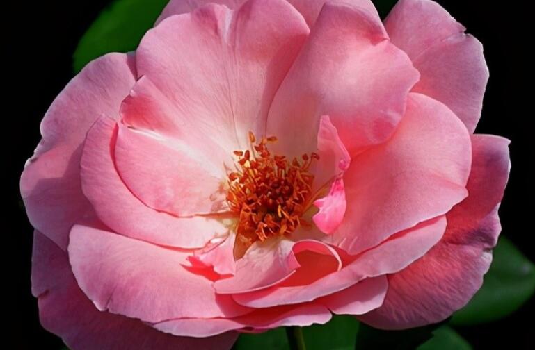 充满生活情调的句子文案