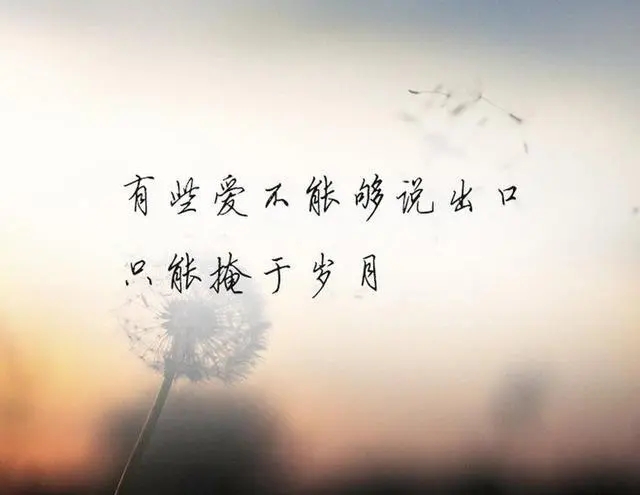 明明懂却装不懂的句子文案