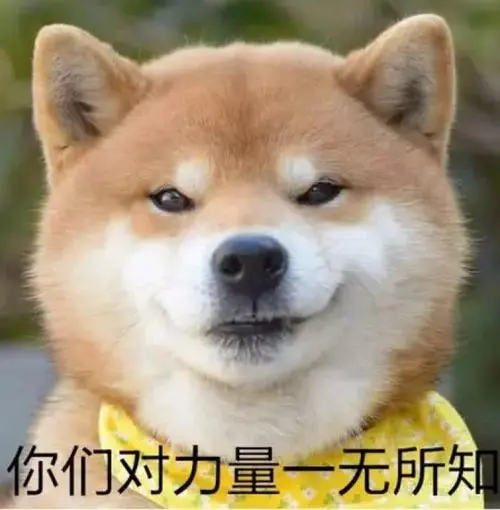 表达醒的太早的搞笑说说文案