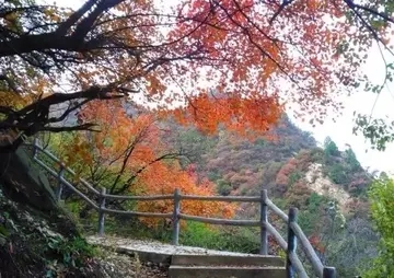 赞美西安的现代诗词