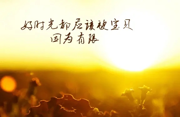 身边的温暖优美句子文案