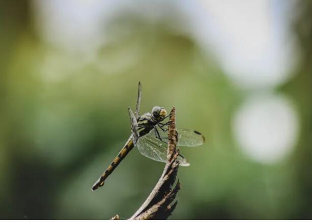 美到心灵的句子文案