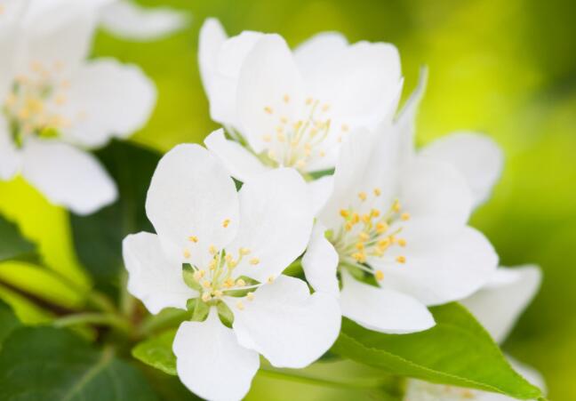 实在人说实在话的句子文案