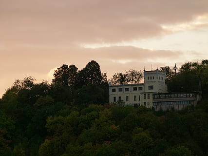 相信世界有真爱的句子文案