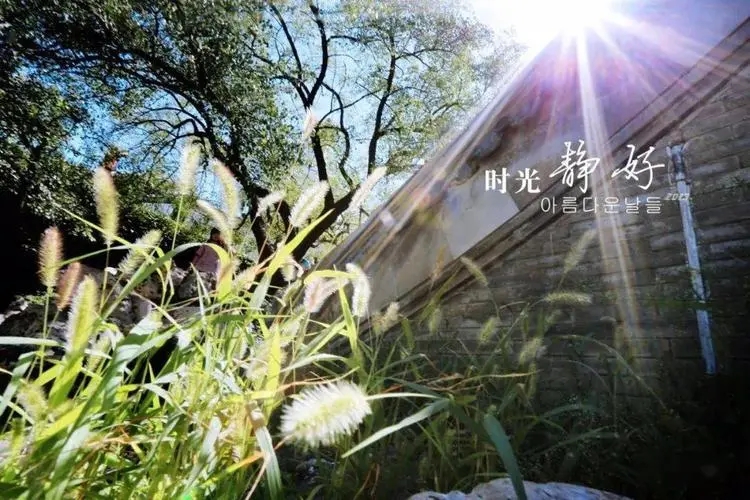 岁月静好的句子文案