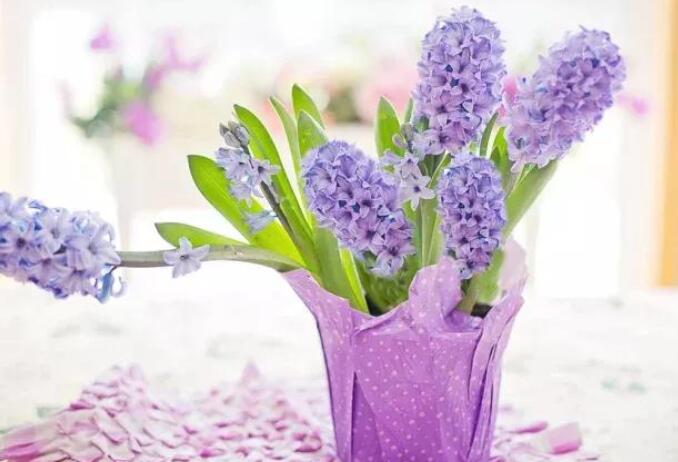 很甜很撩人的早安情话文案