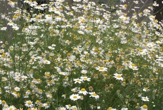 欢迎回家的幽默短句