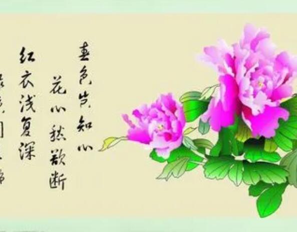 赞美牡丹的诗句文案