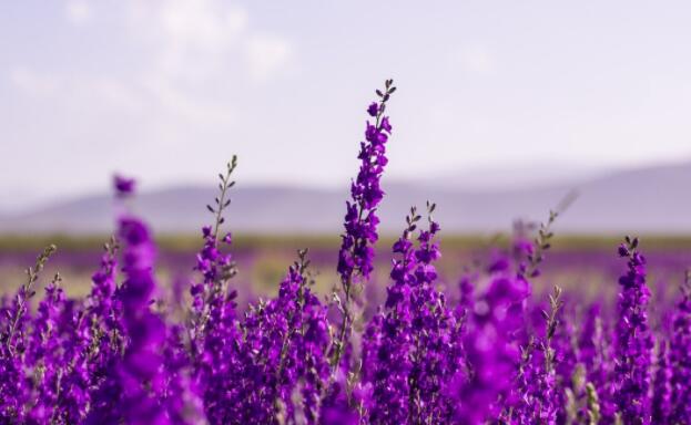 朋友圈励志说说文案正能量