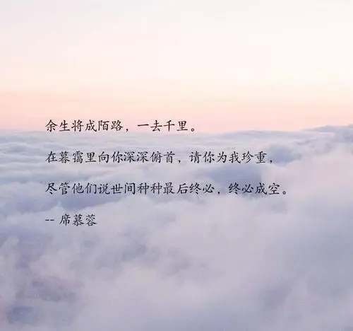 带有惊鸿的句子文案