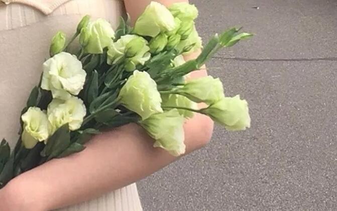 关于雨后清新的句子文案