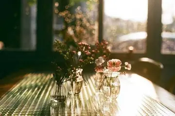 生活简单快乐的句子文案短句说说