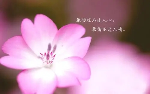 人心凉薄经典语录文案