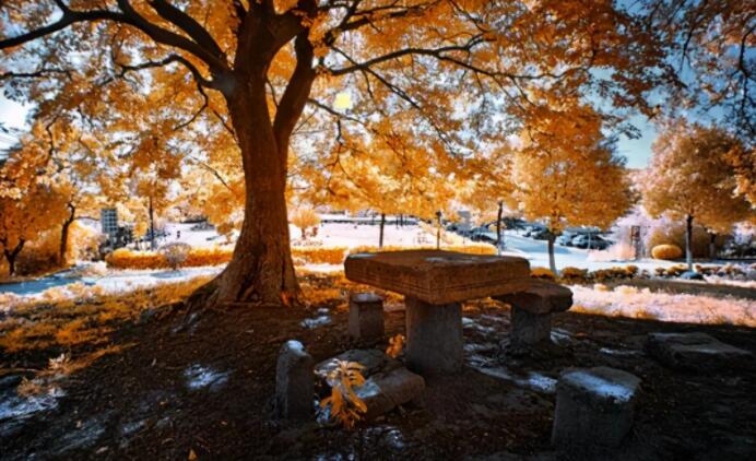 怀念高中的文案