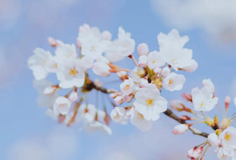 尊重的句子文案