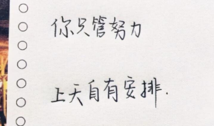 学生简短美句摘抄大全