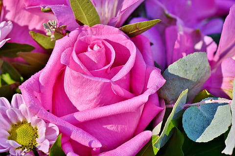 分手结束的英文句子文案