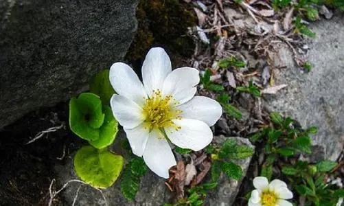 现实一点句子文案