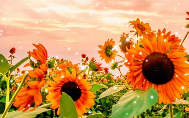 正能量简单喜欢一句话