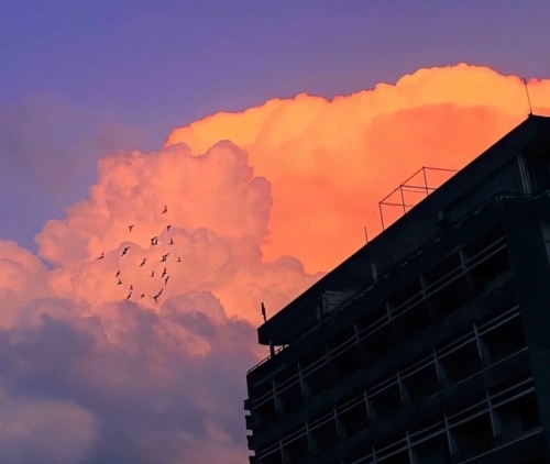 关于日落的优美句子文案